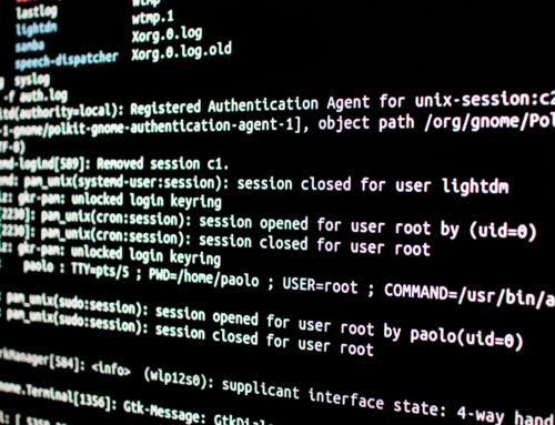 Setting Up a WordPress Server on Linux with Caddy